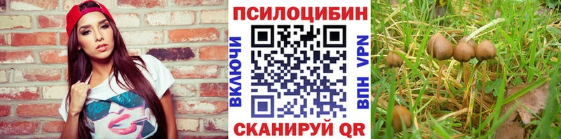 Псилоцибиновые грибы Psilocybine cubensis  Дюртюли 